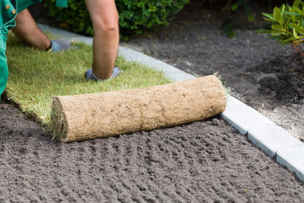 Eine Person verlegt Saatrasen.